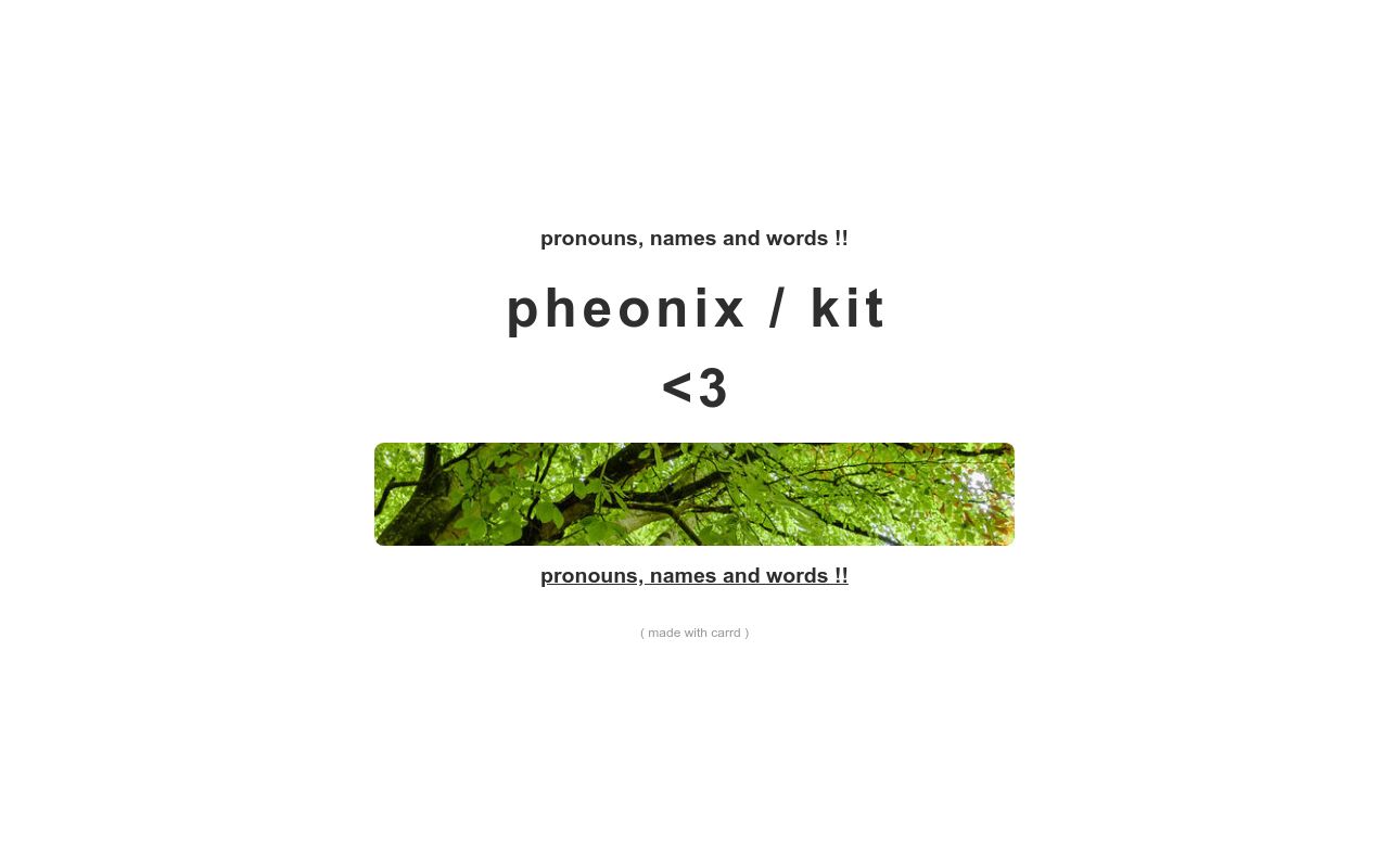 Carrd profile picture for @pheonixx
